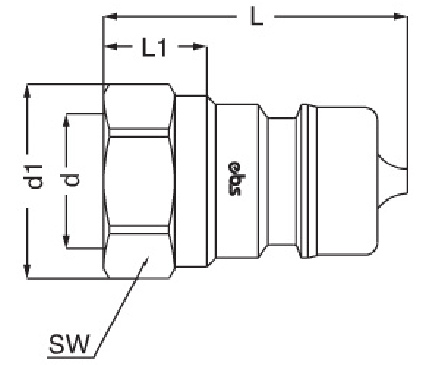 female DGB.png female DGB.png